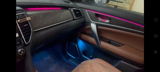 Ambient lights RGB mold design for Honda AVANCIER/URV (2023)