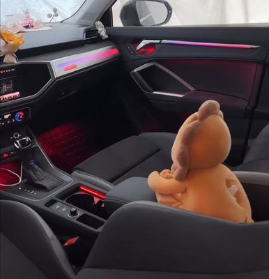 Luci ambientali Sinfonia arcobaleno dinamico Pannello trim passeggeri + Radium intaglio quattro porte per Audi Q3 (2019-2023)